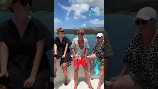Feel the wind in your hair on the Tommy Coconut Boat Tour in Cura&ccedil;ao ☀️