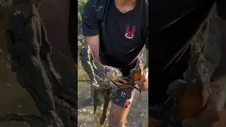 Crab hunting 🦀 big size crab 😱#viral #crab #crabcatching #crabfishing