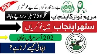Suthra Punjab Program Jobs 2025 | Pakistan Government job | CM Punjab Maryam Nawaz program