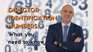 What is a Director Identification Number?
