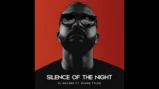 SILENCE OF THE NIGHT - DJ WALGEE X DJ TARICO FT. SHANE TYLER & MARK G