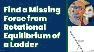 Find a Missing Force from Rotational Equilibrium of a Ladder