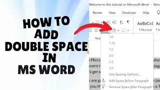 How To Double Space In MS Word 2025 || Double Space In MS Word Tutorial #msword #wordtutorial