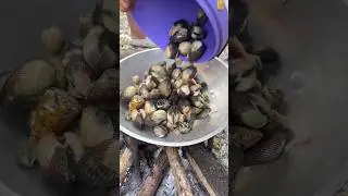 Catching & Cooking FRESH Clams Like a Pro