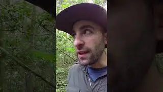 The Bullet Ant Challenge: Coyote's Most Painful Sting Experience!
