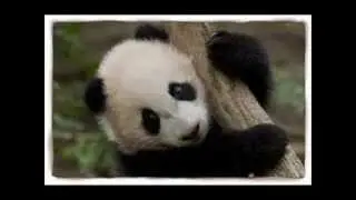 P.O.E.M House Music dugem remix