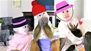 Q&A With Baby Monkeys Gracie and Ava | Capuchin Monkey | Cinnamon Capuchin