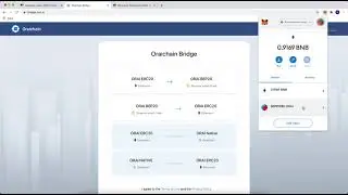 How to connect to Binance Smart Chain and check BEP20 ORAI in MetaMask wallet