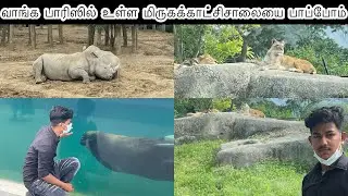 Paris Zoological Park | Vincennes zoo | Parc zoologique de Paris | Tharsikan Official