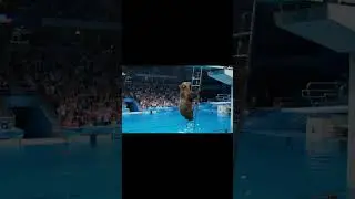Bandicoot vs Diving Bear Wildest Olympic Showdown