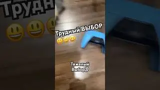 Очевидно кто заслуживает внимания ) #memes #husky #cat #eeveebork #cuteness #shibadog #cute