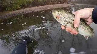 TROUT Fishing in Indiana (GONE WRONG!)