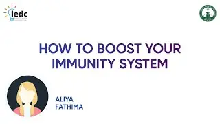 How to boost your Immunity System Easily
