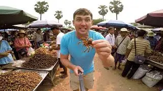 Extreme Eats: My Global Food Daring Adventure!