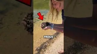 TADPOLE Found Under the Microscope! 😱