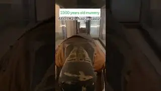 India's Oldest Mummy Resides In Jaipur Museum || 2300 साल पुरानी मम्मी || x-ray View of a Mummy
