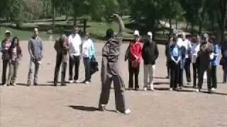 Drunken Tai Chi Sword
