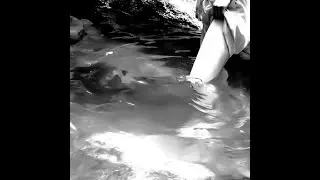 Six Dior - Dark Beach (Sped Up)