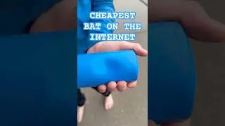 The Cheapest Bat on the Internet | TALK Fam #baseball