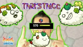 The Last (Axie) Standing: HotButt Sustain Gameplay: Axie Origin