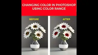 PHOTOSHOP TUTORIAL: COLOR RANGE SELECTION TOOL