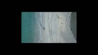 Silent Nature #shorts #meditation #short#youtubeshorts #silentnature#youtube