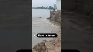 flood in assam #assamflood #shorts