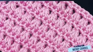 Tejiendo con Merry Cardiel hermoso crochet solo 2 vuelta