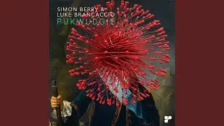 Pukwudgie (Barry Jamieson's Mono Electric Orchestra Remix)
