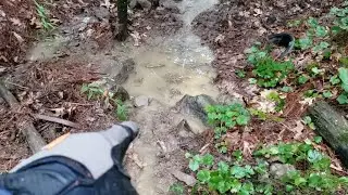 Clearing A Stream