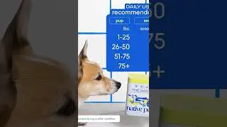 Pet Health Pet care Pet Food