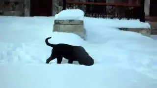 SDC10356.AVI