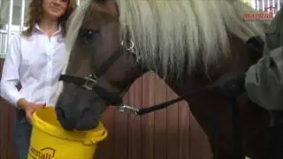 Messevideo Premium Pferdefutter - Marstall Faser Light - Das M&uuml;sli f&uuml;r Pferde Produktvideo
