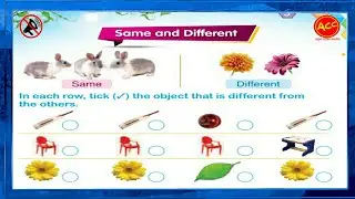 Maths Magic Book Unit 2 | Page 15 Part 1 | Find Different Object | Odd One Out Game