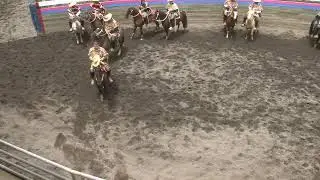 PRIMERA SERIE CLUB DE HUASOS LAS LOMAS DE PELLUHUE