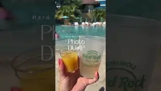 HARD ROCK HOLLYWOOD FLORIDA! 🎸