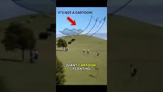 The Floating Cartoon in New Zealand You Have to See