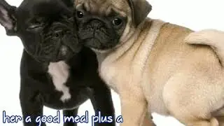 Poem for Dog Lovers
