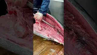 300$ Tuna Bone Marrow: Japan&rsquo;s Rarest Seafood #reels #facts