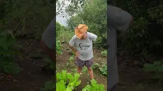 Content voir où mougnard...😂😂😂
