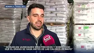 Cada vez más agricultores apuestan por semillas de siembra tardía #semillacertificada