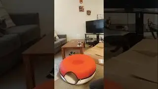 unboxing Cattasaurus Peekaboo Cat Cave  Santa color size Jumbo #unboxing #cats #ytshorts #catbed