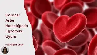 Nilgün Çırak Anlatıyor: Egzersize Dolaşım Sisteminin Uyumu: Koroner Arter Hastalığında Egzersiz