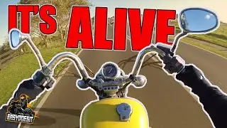 XV250 VIRAGO FIRST RIDE! ($600 CHOPPER PROJECT)