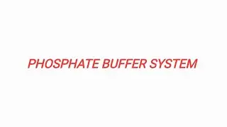 Phosphate buffer system (idea).