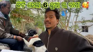 ଜିଟି ହେଲା ବାପା / ଘରେ ସମସ୍ତେ ଖୁସି 😊/ mr adee vlog / mahilamitra / odia vlog 