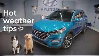 Hyundai Helpers - Hot Weather Car Tips