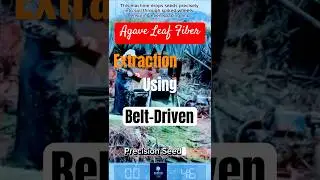 Agave Leaf Fiber Extraction Using Belt-Driven Shredding Machine
