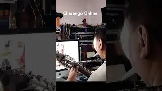 Charango online.  willy.rios@live.com          #cultura #musica #folclore #charangueando