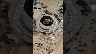 Luxury Patagonia Granite Tabletop #luxurygranite #naturalgranite #naturalstone #tabletop #stone